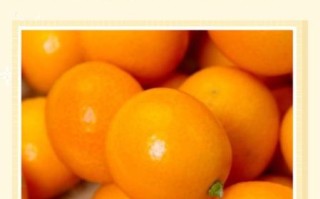孕妇可以吃橘子吗_橘子对胎儿有什么好处
