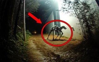 诡异镜头是什么_如何识别诡异镜头