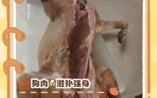 狗肉孕妇能吃吗_孕期饮食禁忌