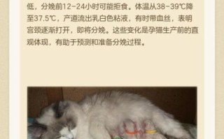 孕妇梦到猫是生男生女_孕妇梦见猫有什么预兆