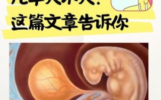 孕妇看黄谍胎儿有记忆吗_会影响宝宝大脑发育吗