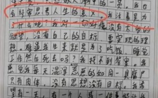 高考作文0分怎么办_还能复读吗