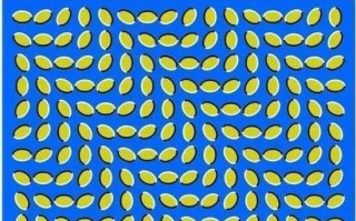 什么是错觉_错觉产生的原因