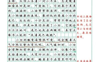 如何写我与小狗的故事_小学生作文怎么写800字