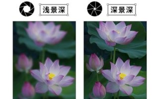 景深长镜头怎么拍_景深长镜头优缺点