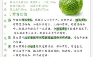 孕妇能吃圆白菜吗_圆白菜对胎儿有影响吗