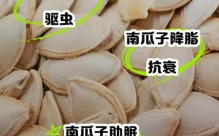 南瓜子孕妇可以吃吗_孕妇吃南瓜子对胎儿好吗