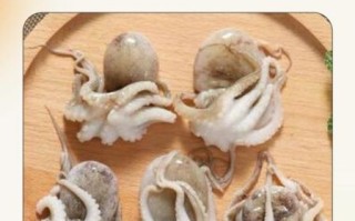 孕妇能吃八爪鱼吗_孕妇吃八爪鱼注意事项