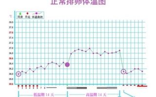 孕妇体温偏低正常吗_孕妇体温偏低对胎儿有影响吗