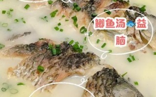 孕妇可以喝鲫鱼汤吗_鲫鱼汤对孕妇的好处