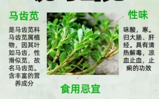 马齿苋孕妇能吃吗_孕妇吃马齿苋的风险