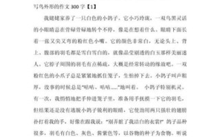 鸟的作文怎么写_描写鸟的外形有哪些技巧