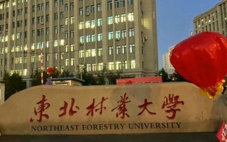 东北林业大学是211吗_东北林业大学211含金量