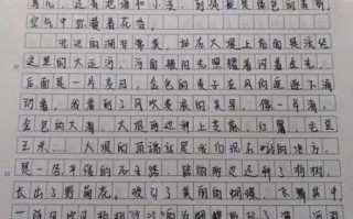 备好的行囊作文怎么写_如何写出高分细节