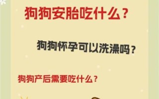 孕妇狗吃什么好_孕期狗狗注意事项