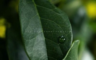 全画幅用残幅镜头可以吗_会损伤相机吗