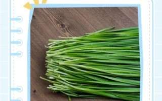 孕妇不能吃韭菜吗_孕期韭菜禁忌真相