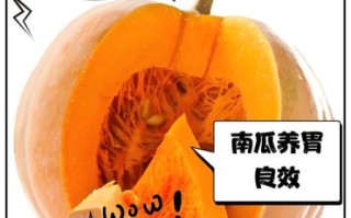 孕妇可以吃南瓜吗_孕期吃南瓜的好处与禁忌