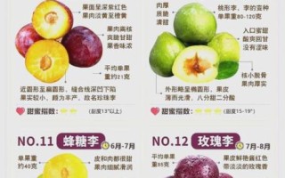 孕妇感冒能吃李子吗_李子对孕妇感冒的影响