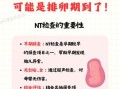 nt检查什么时候做_nt检查正常值是多少