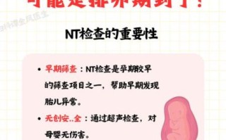 nt检查什么时候做_nt检查正常值是多少