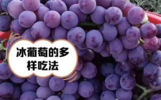 孕妇可以吃冰葡萄吗_冰葡萄对胎儿有影响吗