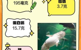 孕妇能吃鲶鱼吗_鲶鱼对孕妇的好处与禁忌