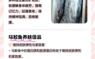 马鲛鱼孕妇可以吃吗_孕妇吃马鲛鱼的注意事项