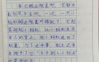 飞翔的蚂蚁作文怎么写_飞翔的蚂蚁写作技巧