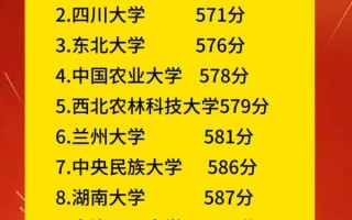 650分能上什么大学_650分选985还是211