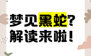 孕妇梦见小黑蛇是什么意思_孕妇梦见小黑蛇生男生女
