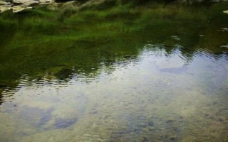 小井沟在哪里_小井沟有什么好玩的