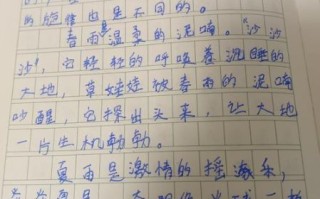 雨作文500字怎么写_写雨的作文有哪些技巧