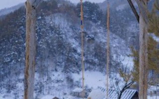 40mm镜头适合拍什么_40mm镜头人像还是风景