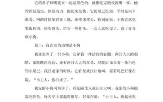 我喜欢的小动物作文怎么写_小学生写小动物作文技巧