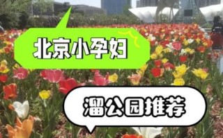 北京孕妇游玩好去处_孕妇北京旅游安全吗