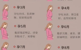 孕妇图怎么看_孕妇图几个月能看清