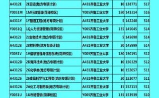 济南齐鲁工业大学怎么样_录取分数线是多少