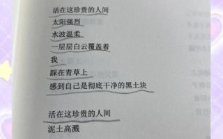 海子为什么自杀_海子诗歌意象解析