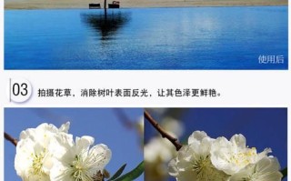 24定焦镜头适合拍什么_24mm定焦镜头使用技巧
