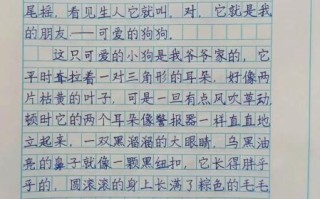 我的动物朋友作文怎么写_如何描写动物外貌