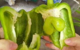 孕妇能吃青椒吗_青椒对胎儿有影响吗