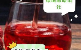 孕妇能喝杨梅酒吗_怀孕喝杨梅酒对胎儿有影响吗