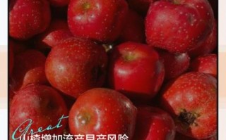 孕妇能吃山楂吗_山楂对胎儿有影响吗