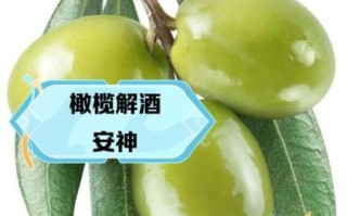 孕妇能吃橄榄吗_孕期吃橄榄的好处与禁忌