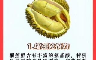 孕妇能吃榴莲吗_榴莲对孕妇有什么好处