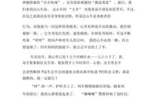 坐过山车是什么感觉_坐过山车作文怎么写