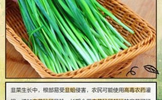 孕妇能吃韭菜吗_孕妇吃韭菜对胎儿有影响吗