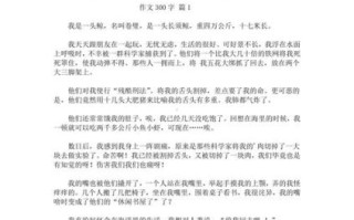 如何写300字作文_300字作文怎么写