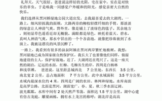 湿地作文怎么写_湿地保护的意义是什么